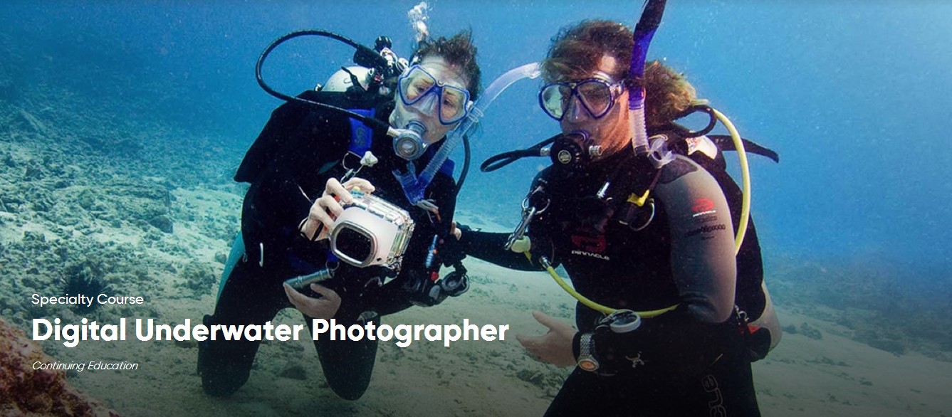 Digital Underwater Photographer