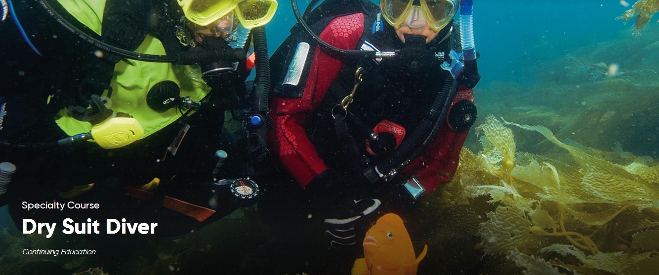 Dry Suit Diver